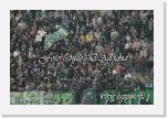 DSC_ tifosi avellino foggia__25 * Foto:Franco D'Addona * 750 x 498 * (163KB)